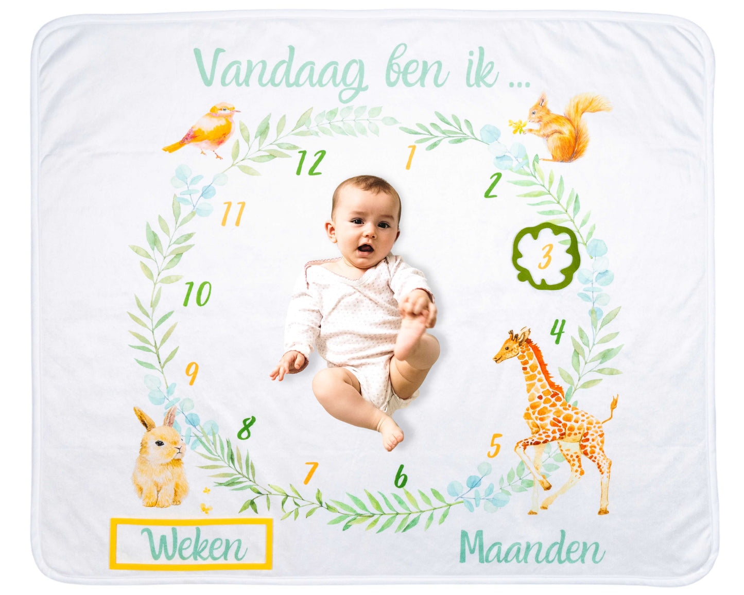 Animal Milestone Blanket - Baby Milestone Blanket - Baby Shower Gift - Boy or Girl